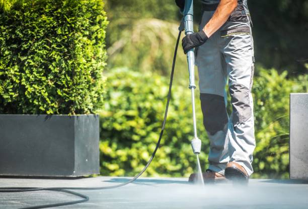 Best Solar Panel Cleaning  in Hawthorne, NJ